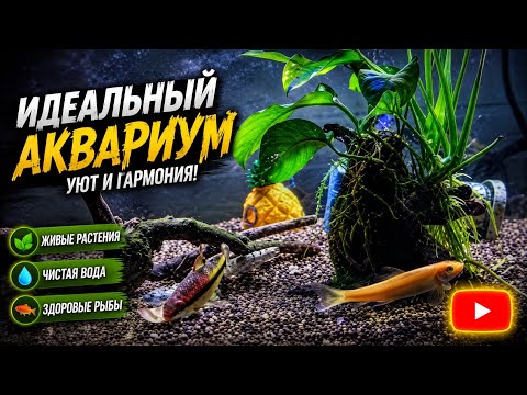 Иногда хочется просто остановиться и понаблюдать за этими удивительными созданиями.