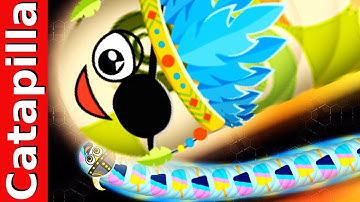 Wormate.io Best Trolling Pro Never Mess With Tiny Worms Wormateio