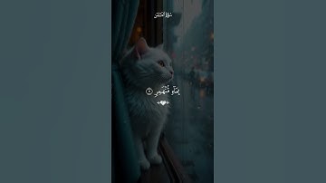 القران الكريم راحة نفسية تلاوة خاشعة حالات واتساب قران كريم  #حالات_واتس_اب #اكسبلور #القرآن_الكريم