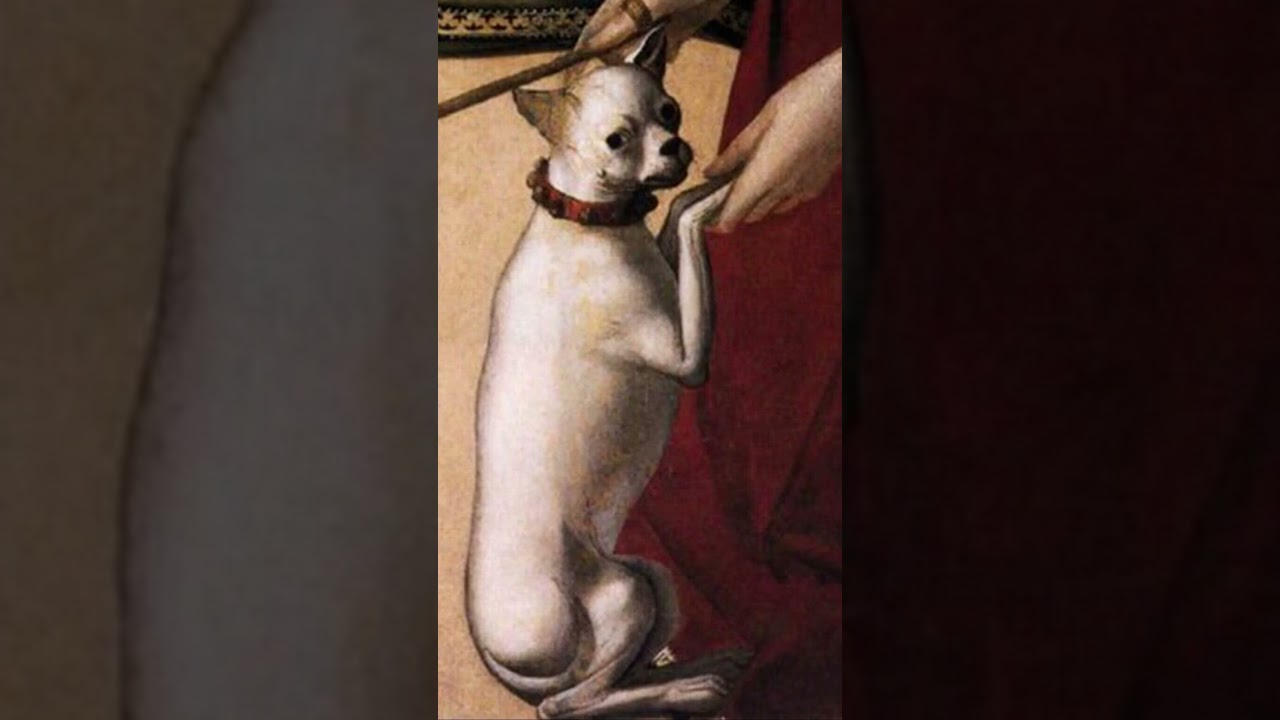 The symbolic presence of the dog in Vittore Carpaccio's painting