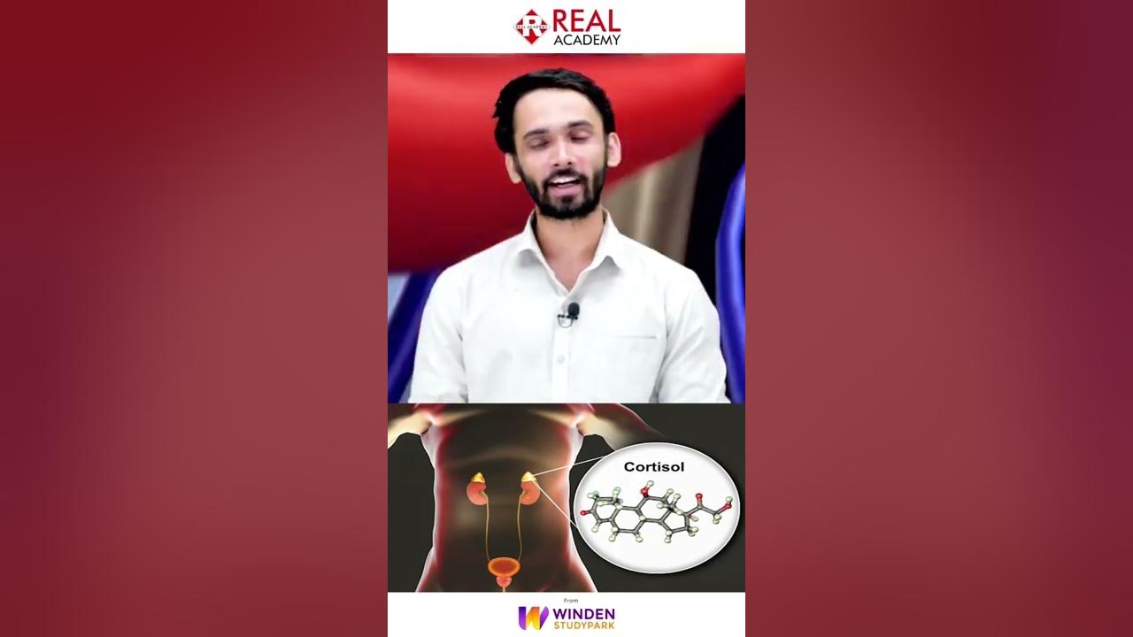 why-we-feel-more-sick-at-night-youtube