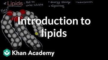 Introduction to lipids | High school biology | Khan Academy