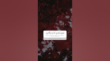 حالات واتس قران كريم | ياسر الدوسري