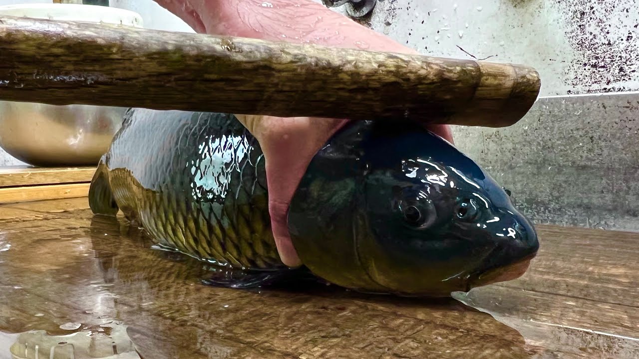 池から直送！100年続く鯉料理専門店の“命をいただく伝統料理”に密着