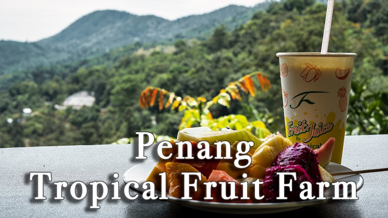 Penang Tropical Fruit Farm Malaysia【full Tour In 4k】 Youtube