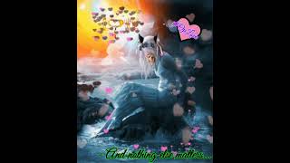 - OpLove & Nothing Else Matters