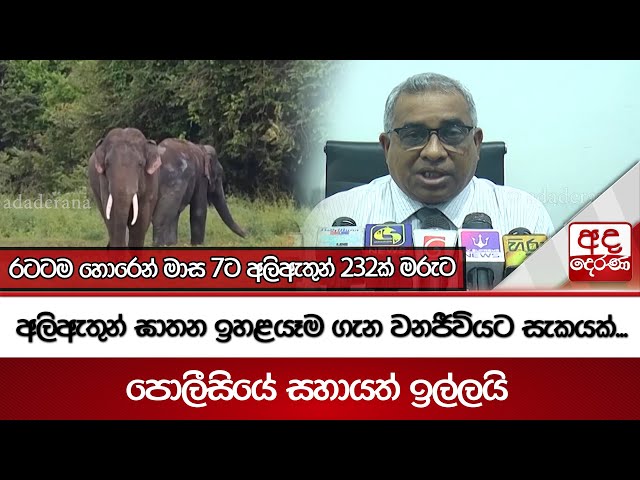 අලිඇතුන් ඝාතන ඉහළයෑම ගැන වනජීවියට සැකයක්... පොලීසියේ සහායත් ඉල්ලයි