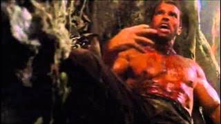 DO IT! COME ON! KILL ME NOW! I'M HERE! - Arnold Schwarzenegger