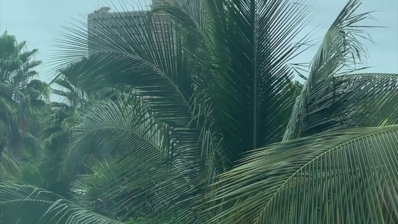 24 hours in Dar es Salaam YouTube