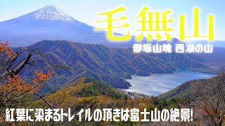 訪問着 富士山 富士五湖 山道 グラデーション 森林 NK-1093 プロジェクター - 【山梨】富士山を望む山中湖グランピング ル・ニド