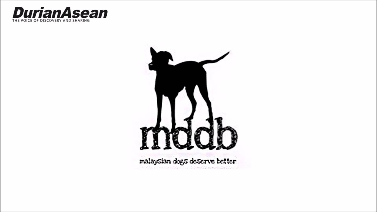 Malaysian Dogs Deserve Better Attractions In Petaling Jaya Kuala Lumpur