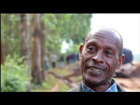 Komii Daandii Garbaa Qarcaa