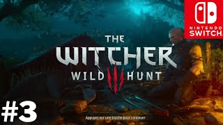 The Witcher 3 (Nintendo Switch) | Différentes options graphiques :)