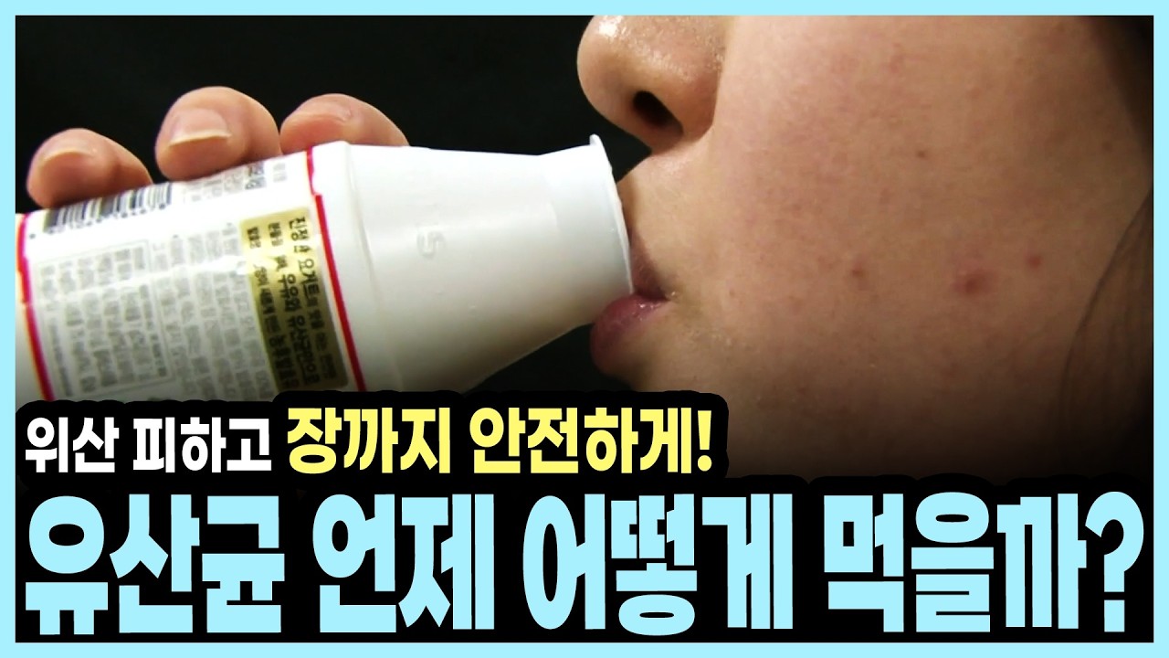 유산균 만병통치약 아니다? 치료제 아닌 건강보조식품 올바른 효능과 진실 I KBS 알약톡톡 20160326 방송
