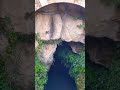 جوزيف عازار أحلى موال المكان فوار الزويتيني 