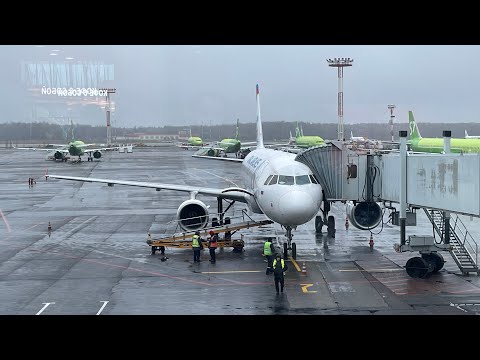 Airbus A320 | Уральские авиалинии | Рейс Москва Домодедово- Санкт-Петербург Пулково