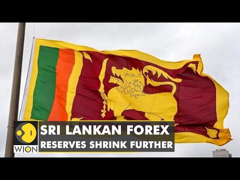 Trouble continues for Sri Lanka's finance sector as forex fall by 24% | Latest World English News