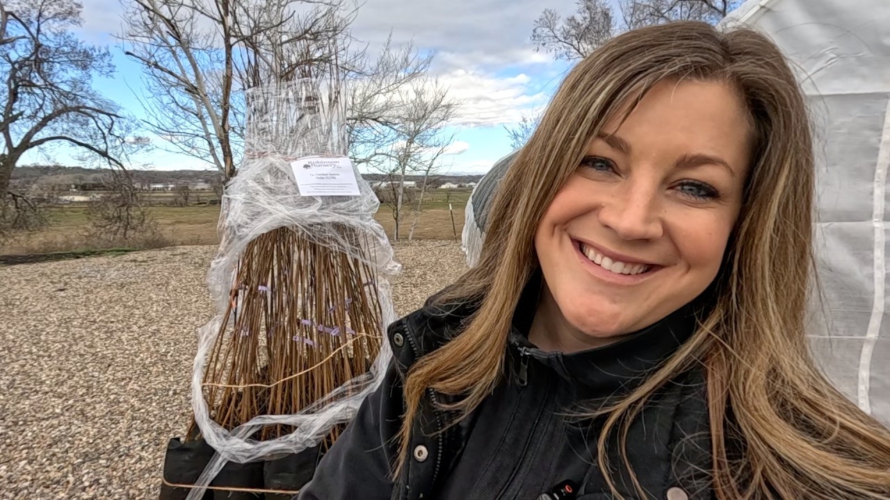 Birch Tree Delivery, Lots of Garden Cleanup & Renovation Update (A Wall Was Moved)! 🌳🌾🏠