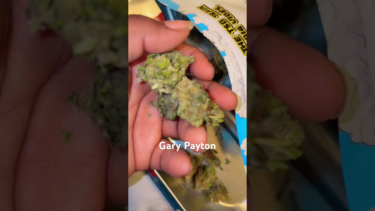 Gary Payton THCA Small Buds 