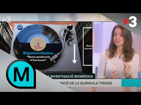 Vídeo: Hipotiroïdisme En Gossos