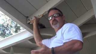 Roof Repair- Termite and Dry Rot Damage