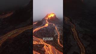 The Single Event That Created All Complex Life - Nick Lane