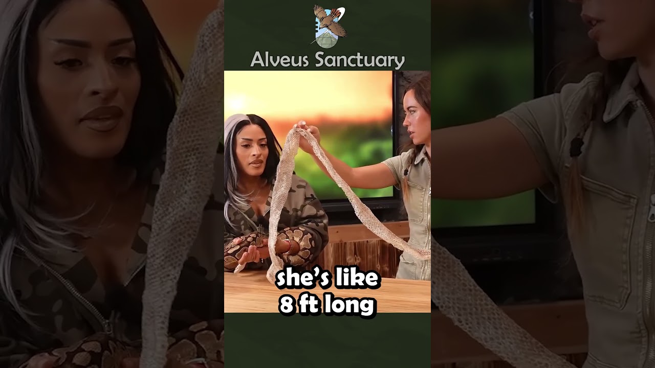 Zelina Vega Makes a New Best Friend