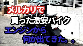 エンジンからまさかの【メルカリでバイク買ってみた！！】Vol.2 エンジンオイルを交換しようとしたら！シーサイドキャンプ