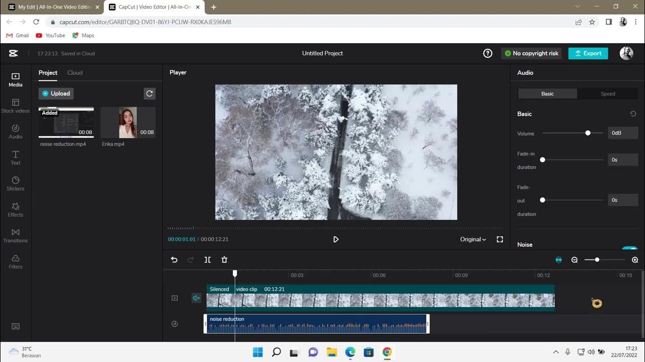 How To Enable Noise Reduction On CapCut Browser YouTube