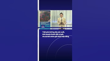 Triệt phá đường dây sản xuất, kinh doanh thuốc diệt cỏ giả, thu lợi bất chính gần 600 triệu đồng