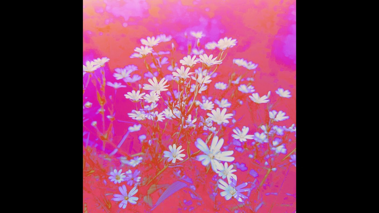 Watch Raphaë & Nui Selkie - Soft Again on YouTube Watch Raphaë & Nui Selkie - Soft Again on YouTube