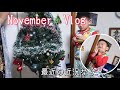 November Vlog 🎄最近の近況など