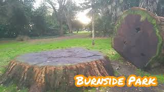 Burnside park