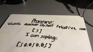 [s] voiceless alveolar sibilant fricative consonant