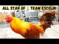 All Star & Team Escolin IGF 2020