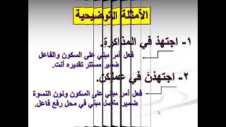 إعراب الفعل الأمر - ثانوية عامة 2021