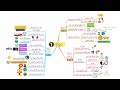 احفظ سورة نوح بالخرائط الذهنية بالتكرار ومع التدبر 1 احفظ سورة نوح بالخرائط الذهنية بالتكرار ومع التدبر 1