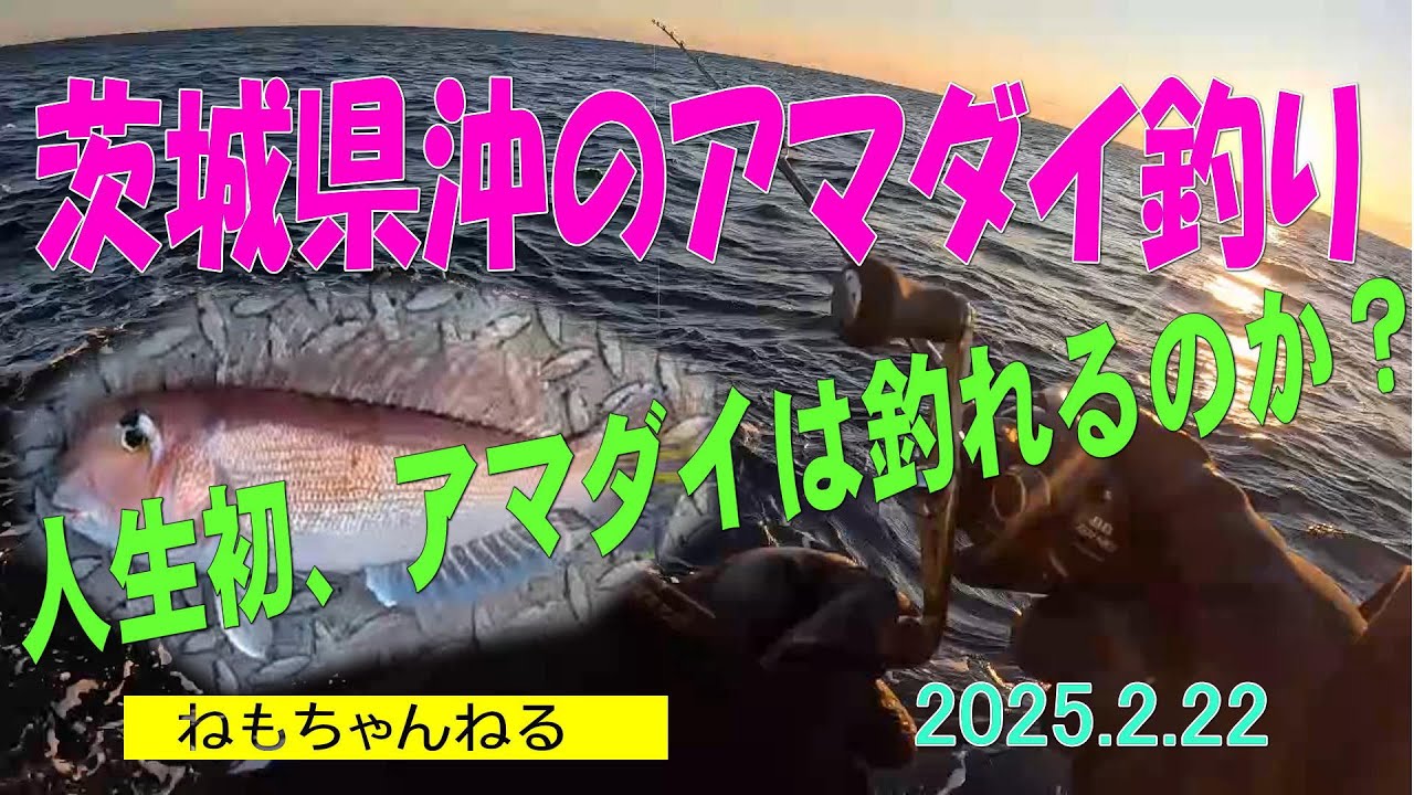 茨城沖のアマダイ釣り