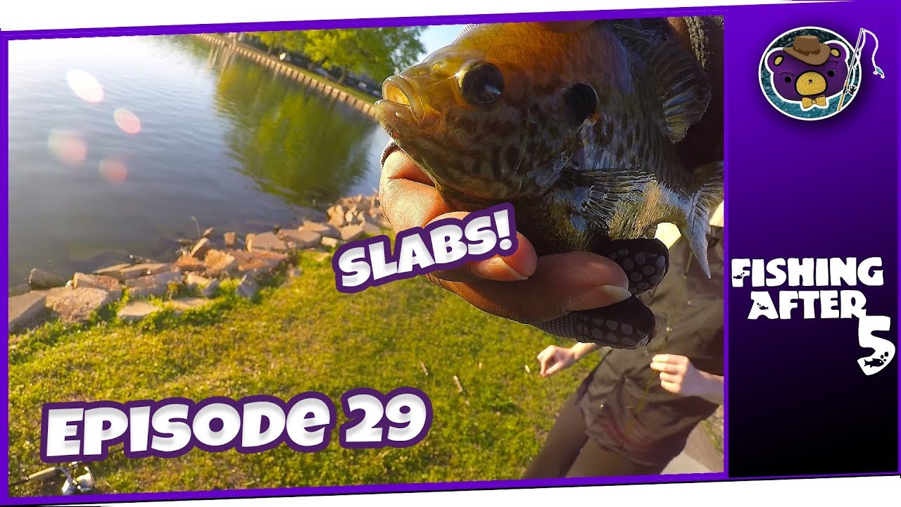 Late Spring Bluegill Fishing at Lady Ann Lake with (Madison, AL