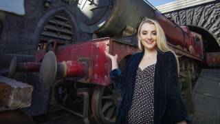 The Wizarding World Of Harry Potter Hollywood - 1 Year Anniversary Tribute