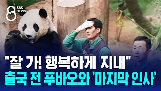 &quot;잘 가! 행복하게 지내&quot;…출국 전 푸바오와 '마지막 인사' / SBS 8뉴스