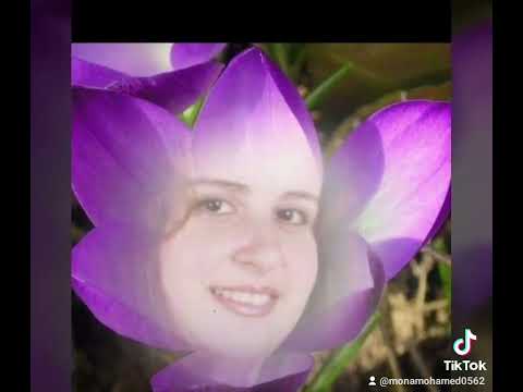 قلب البنوته رق وحن