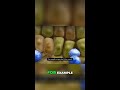 Tadalafil - The Unexpected Remedy for Foot Wounds and Heart Health #shorts