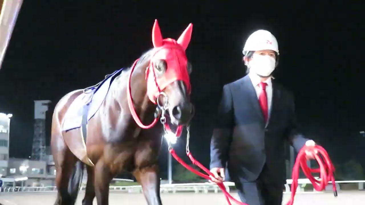 南関魂 高橋華代子の南関東競馬ブログ