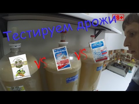 Сравнение дешевых спиртовых дрожжей. Хмельные vs Pakmaya vs Bekmaya