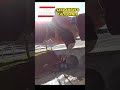 Sheriff's K9 Bites Off Suspects Fingertip