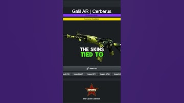 Pro tip for new CS2 investors (Part 4)