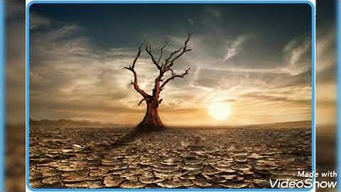 سورة القصص بصوت القارئ فارس عباد