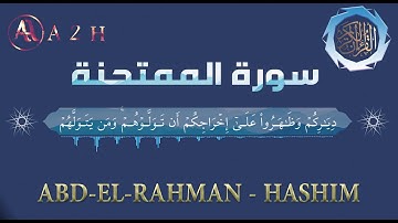سورة الممتحنة llعبد الرحمن هاشم
