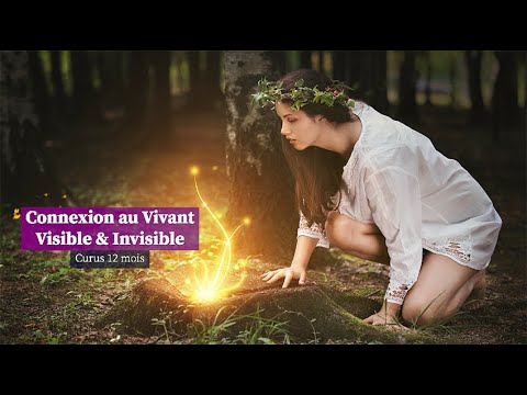 Connexion au Vivant visible&invisible (cursus 12 mois)